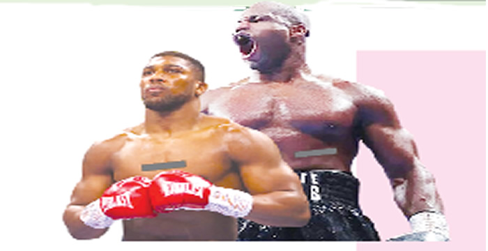 Dubois vows to ko joshua in ibf title clash - nigeria newspapers online