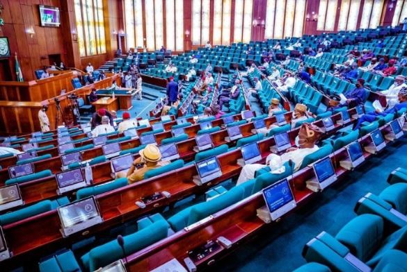 Reps begin investigation into arewa groups petition against agbaje independent newspaper nigeria - nigeria newspapers online