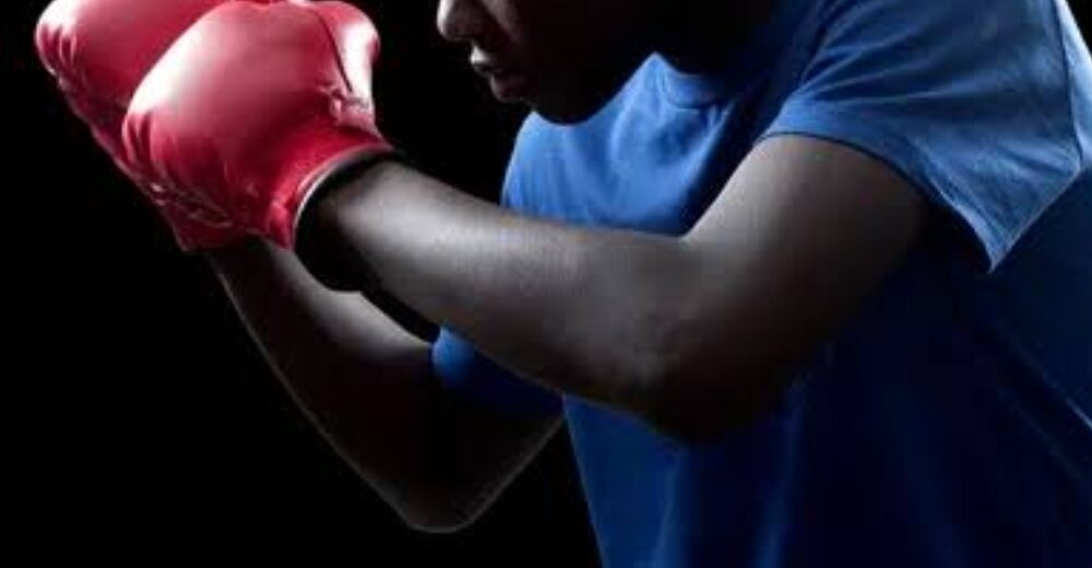 Bpan donates n 5m to national youths games boxers - nigeria newspapers online