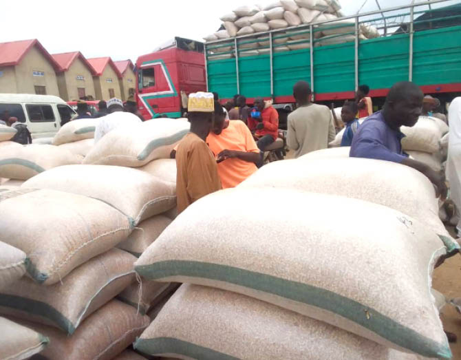 Maize price drops in saminaka grain market - nigeria newspapers online