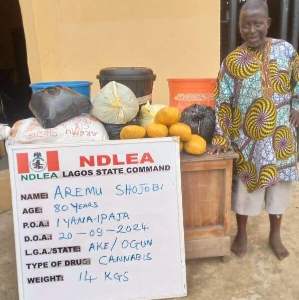 Ndlea arrests 80-year-old grandpa with drugs intercepts n14 9bn opioids - nigeria newspapers online