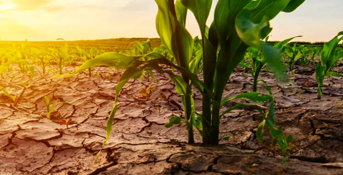 Agra warns of climate crisis looming over africa - nigeria newspapers online