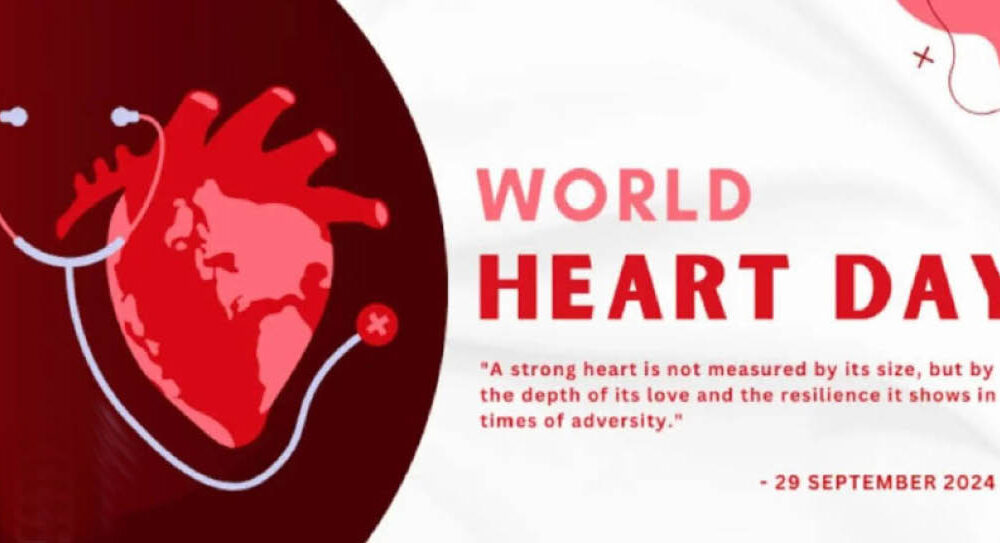 World heart day actson seeks inclusion of cardiac thoracic surgeries in health insurance schemes - nigeria newspapers online