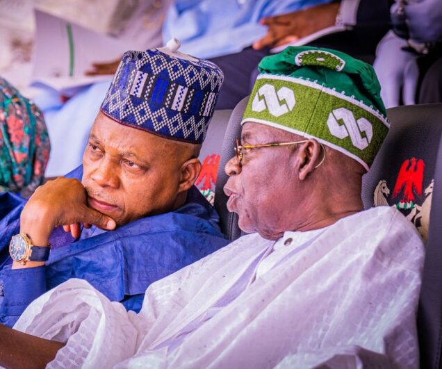 Why tinubu directed shettima to lead nigerias delegation to 79th unga - nigeria newspapers online