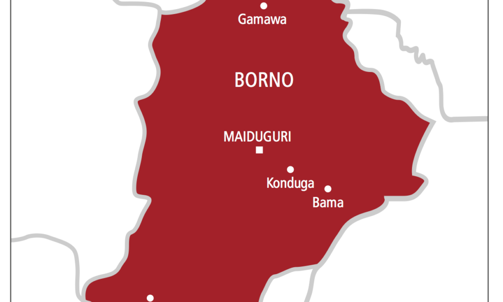 We are all from borno - nigeria newspapers online