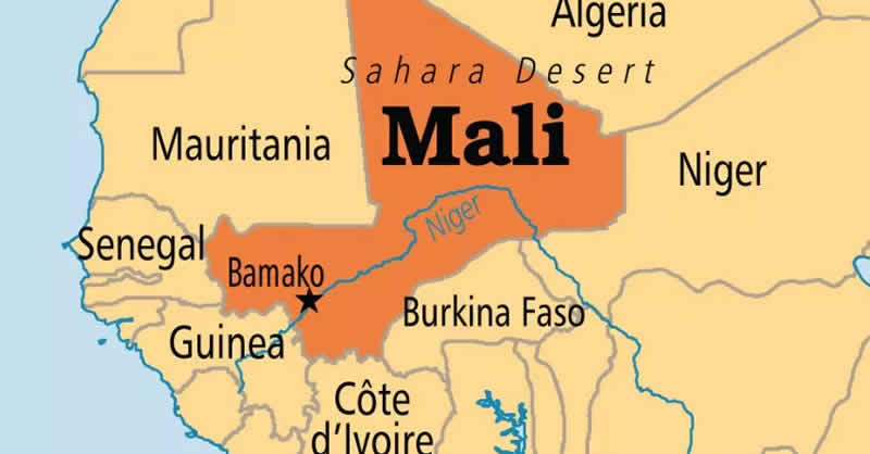 Ecowas reacts as terrorists hit mali capital - nigeria newspapers online