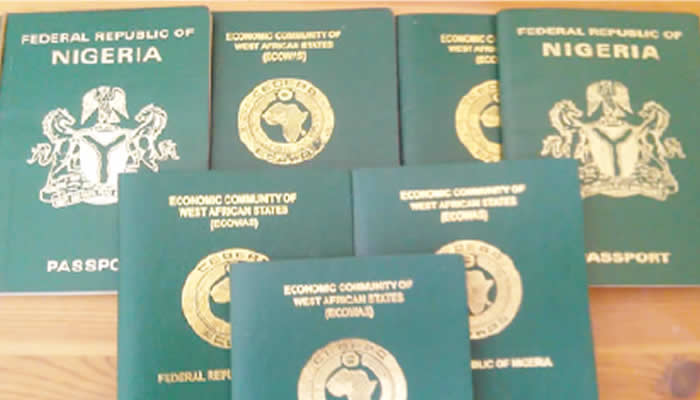 Passport fee hike driven by forex says minister - nigeria newspapers online