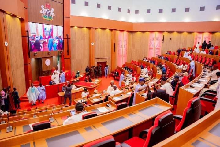 Budget 2025 must work for citizens - nigeria newspapers online