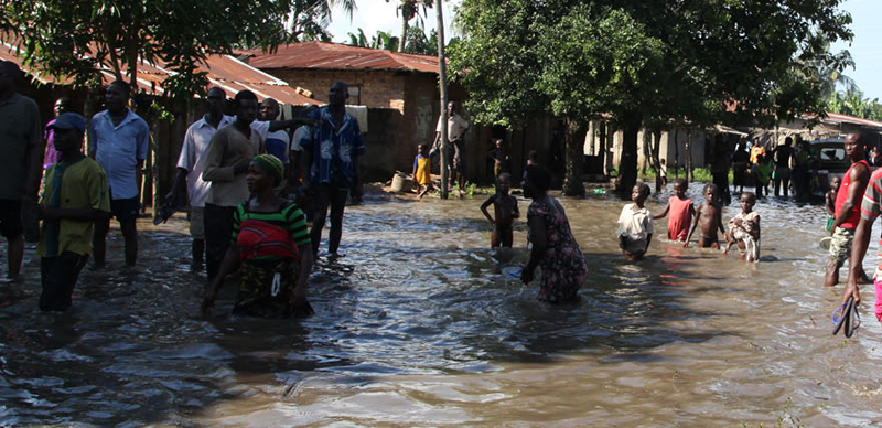 49 dead 226 communities destroyed in kano flood - nigeria newspapers online