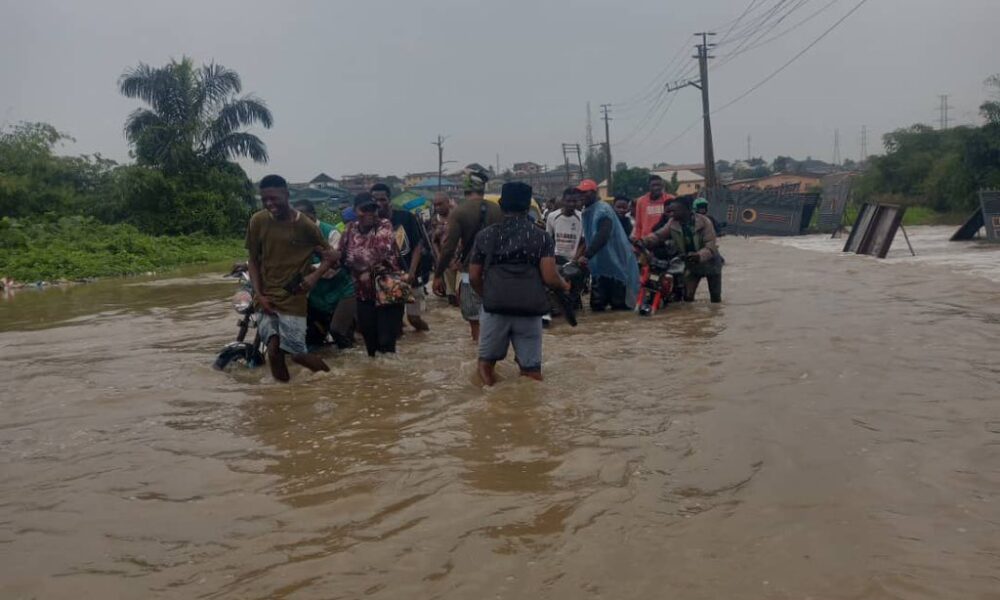 Chad flooding leaves 341 dead 1 5 million affected un - nigeria newspapers online