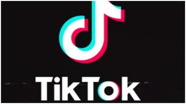 Tiktok to begin appeal against possible us ban independent newspaper nigeria - nigeria newspapers online