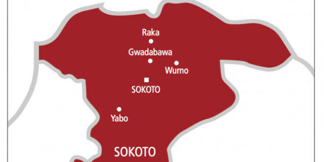 Fg hands over 12367 bags of rice to sokoto - nigeria newspapers online