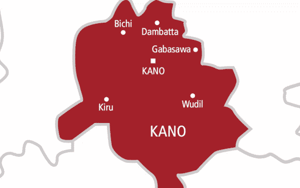 Women empowerment policy to include affirmative action on plwd in kano - nigeria newspapers online