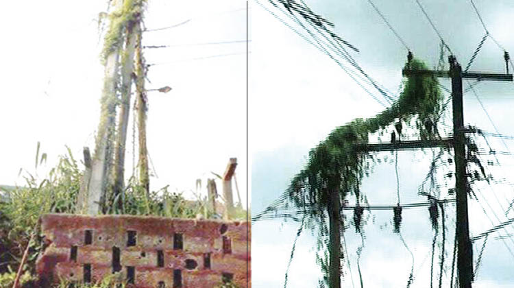 Police arrest two for transformer cable thefts in edo - nigeria newspapers online