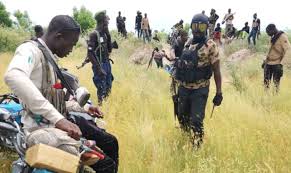 Army captures boko haram logistics supplier in borno independent newspaper nigeria - nigeria newspapers online