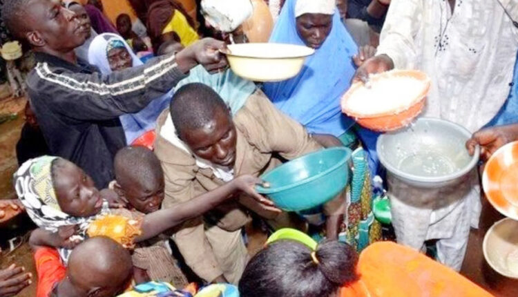 Thoughts on nigerias food insecurity 1 independent newspaper nigeria - nigeria newspapers online