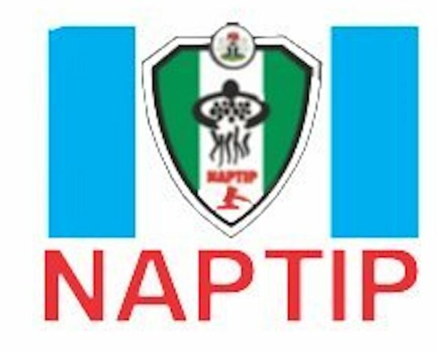 Naptip urges stiffer penalties for rape - nigeria newspapers online