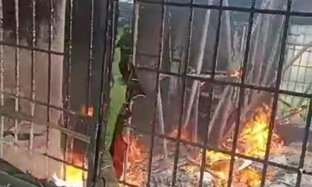 Video thugs burn down rivers lg secretariat - nigeria newspapers online