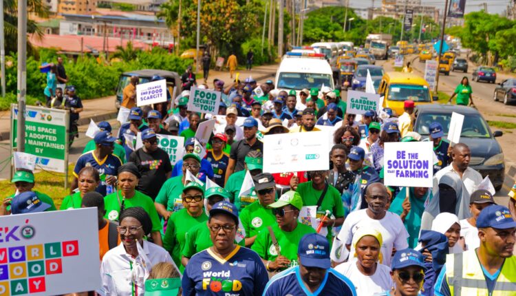 World food day 2024 championing food security sustainable agriculture independent newspaper nigeria - nigeria newspapers online