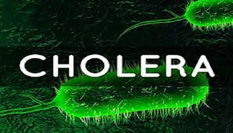 Cholera outbreak hits niger communities independent newspaper nigeria - nigeria newspapers online