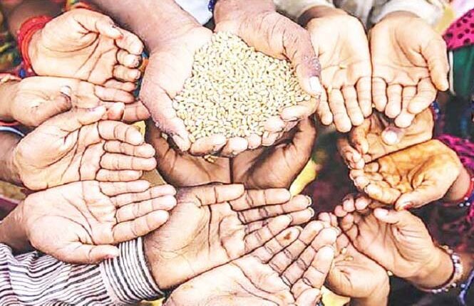 Tackling food insecurity in nigeria independent newspaper nigeria - nigeria newspapers online