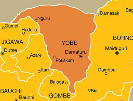 Commissioner flags off distribution of starter kits, broiler chicks in Yobe