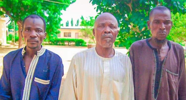 Police arrests ward head 2 others for kidnapping egun 16-year-old girl in katsina independent newspaper nigeria - nigeria newspapers online