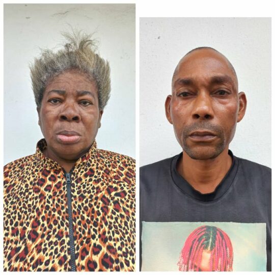 Efcc arraigns two for alleged n24 3m land fraud in uyo - nigeria newspapers online