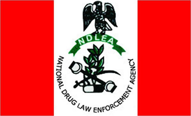 Ndlea seizes 1000kg of illicit substances nabs 420 suspects in kaduna - nigeria newspapers online