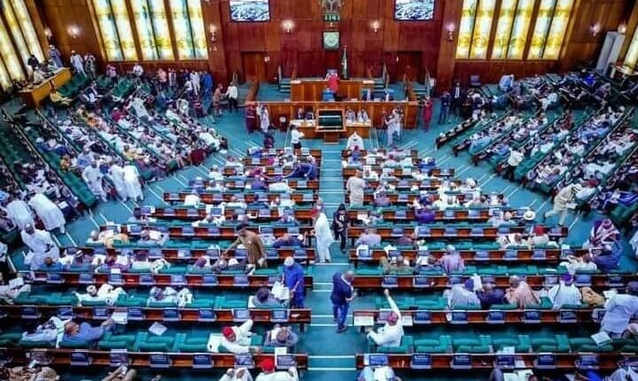 House demands urgent review of nhis price list independent newspaper nigeria - nigeria newspapers online