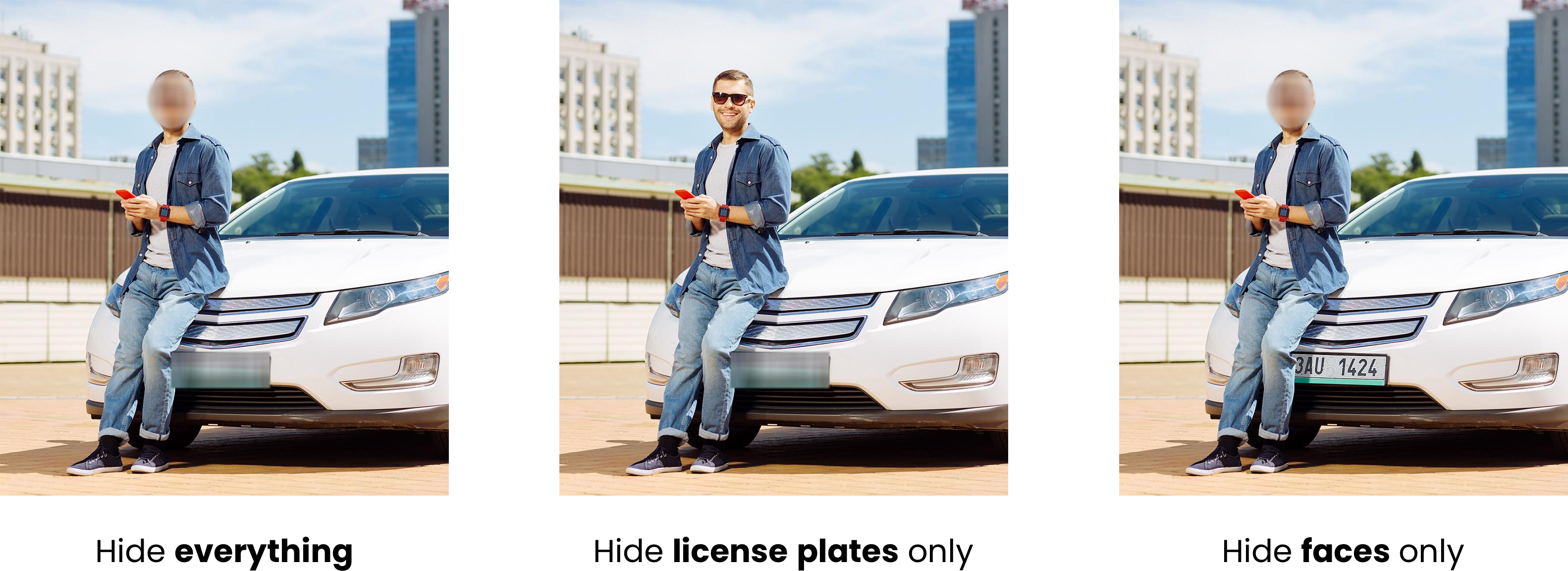 verything-vs-fonly-vs-lponly