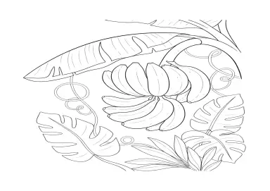 Desenho para colorir Bananas tropicais