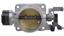 Fuel Injection Throttle Body A1 67-1013