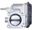 Fuel Injection Throttle Body A1 67-8017