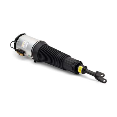 Suspension Strut Assembly AI AS-2892