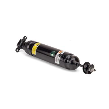 2010 Cadillac DTS Shock Absorber AI AS-2950