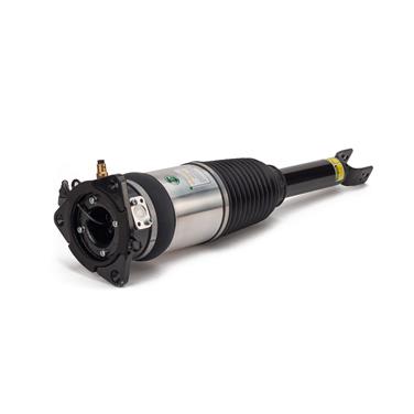 Suspension Strut Assembly AI AS-2969