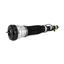 Suspension Strut Assembly AI AS-2193