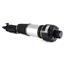 Suspension Strut Assembly AI AS-2246