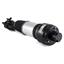 Suspension Strut Assembly AI AS-2300