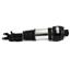 Suspension Strut Assembly AI AS-2300