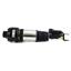 Suspension Strut Assembly AI AS-2301