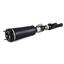 Suspension Strut Assembly AI AS-2394