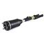 Suspension Strut Assembly AI AS-2463