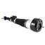 Suspension Strut Assembly AI AS-2547