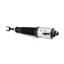 Suspension Strut Assembly AI AS-2562