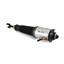 Suspension Strut Assembly AI AS-2563