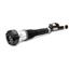 Suspension Strut Assembly AI AS-2604