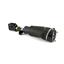 Suspension Strut Assembly AI AS-2757