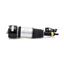 Suspension Strut Assembly AI AS-2783